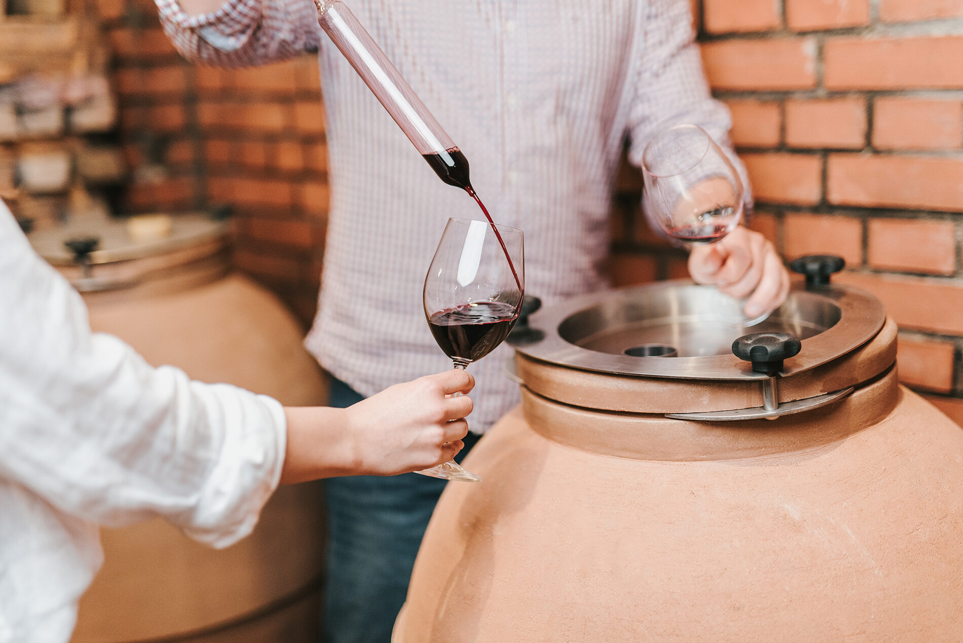 ヴィリアンのワインメイキング解説 ｜ ハンガリーファン｜ハンガリーの観光・情報